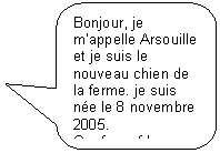 Rectangle  coins arrondis: Bonjour, je mappelle Arsouille et je suis le nouveau chien de la ferme. je suis ne le 8 novembre 2005.
Ouaf, ouaf !     
